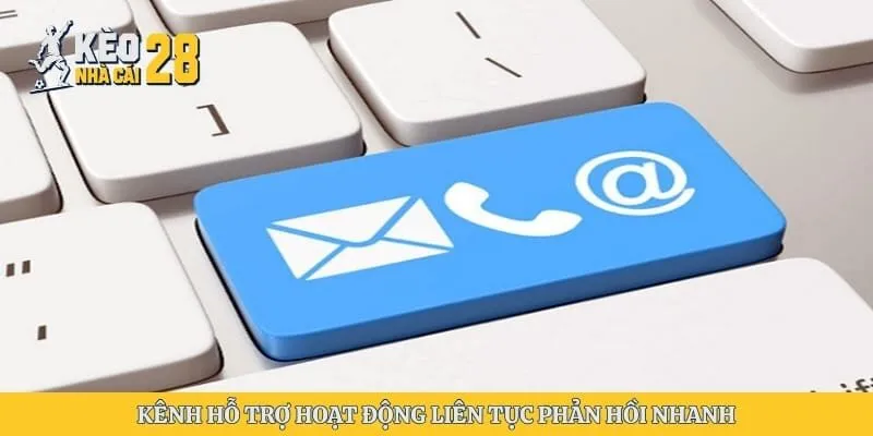 Kênh hỗ trợ hoạt động liên tục phản hồi nhanh 