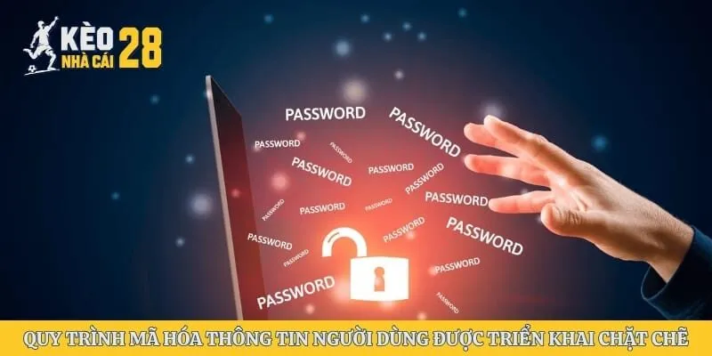 Quy trình mã hóa thông tin người dùng được triển khai chặt chẽ 